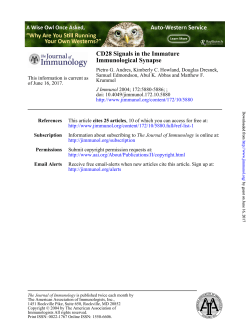 Immunological Synapse CD28 Signals in the Immature
