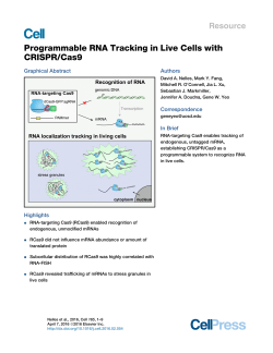 Programmable RNA Tracking in Live Cells with CRISPR