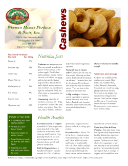 Cashew Fact Sheet