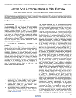 Levan And Levansucrase-A Mini Review