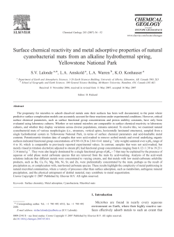 Surface chemical reactivity and metal adsorptive properties of