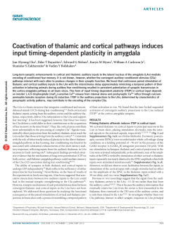Coactivation of thalamic and cortical pathways induces input timing