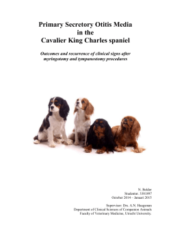 Primary Secretory Otitis Media in the Cavalier King Charles spaniel