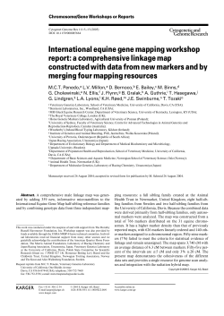 International equine gene mapping workshop report