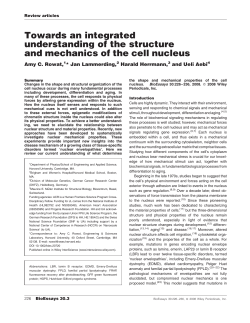 Towards an integrated understanding of the structure and