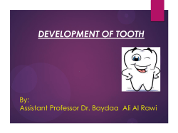 DEVELOPMENT OF TOOTH