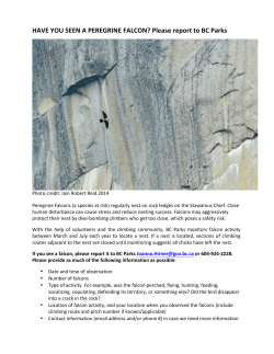 Stawamus Chief Falcon Reporting 2017