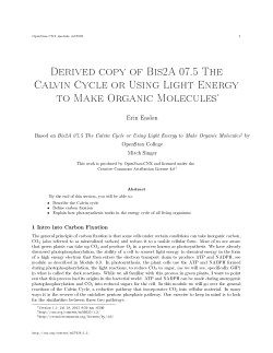 Derived copy of Bis2A 07.5 The Calvin Cycle or Using Light Energy