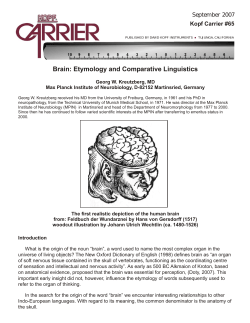 Brain: Etymology and Comparative Linguistics