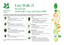our Wood Folk Walk