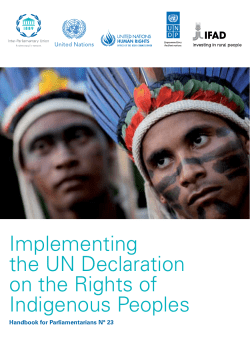 Implementing the UN Declaration on the Rights of Indigenous Peoples