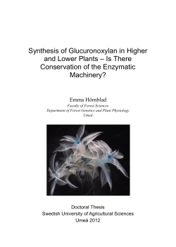 Synthesis of Glucuronoxylan in Higher and Lower Plants &ndash; Is There