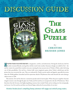 The Glass Puzzle - Christine Brodien