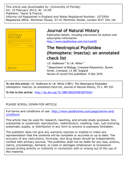 The Neotropical Psylloidea