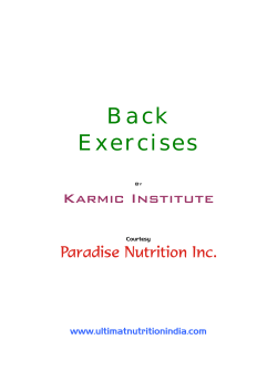 Back Exercises