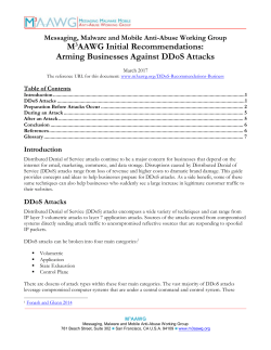 Arming Businesses Against DDoS Attacks