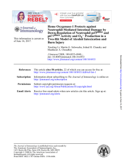 Burn Injury Two-Hit Model of Alcohol Intoxication and Production in a