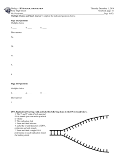 DNA Replication Review