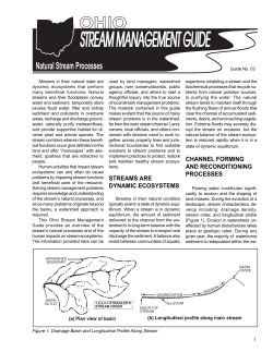 Natural Stream Processes