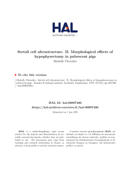 Sertoli cell ultrastructure. II. Morphological effects of