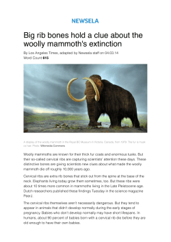 Big rib bones hold a clue about the woolly mammoth`s extinction