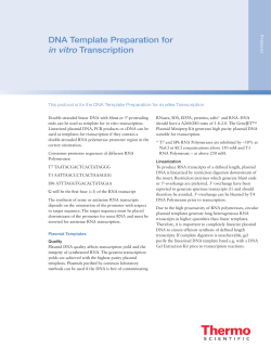 DNA Template Preparation for in vitro Transcription