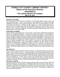 director`s report - Pueblo City