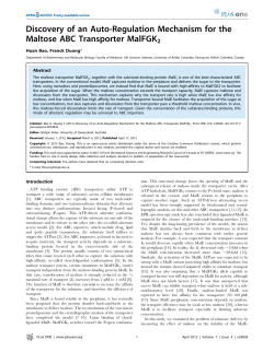Discovery of an Auto-Regulation Mechanism for the Maltose ABC