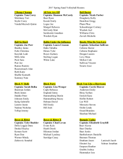 Please click here to view the 2017 Spring Sand Volleyball Team