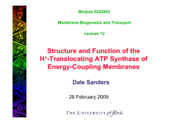 Structure and Function of the H+-Translocating ATP Synthase of