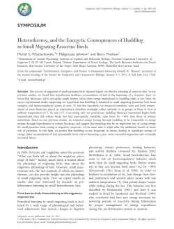 Heterothermy, and the Energetic Consequences