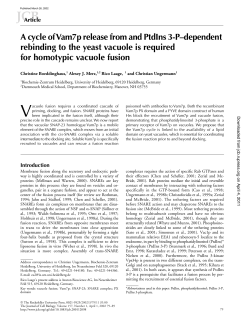 A cycle of Vam7p release from and PtdIns 3