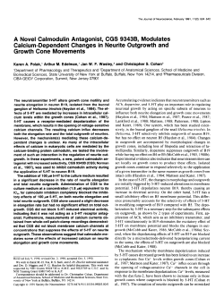 A Novel Calmodulin Antagonist, CGS 93438, Modulates Calcium