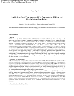 Multivalent Comb-Type Aptamer-siRNA Conjugates for Efficient and