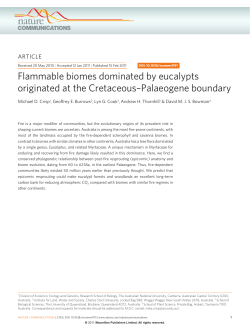Flammable biomes dominated by eucalypts originated