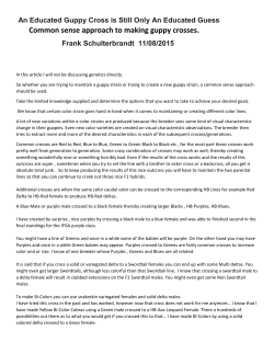 An Educated Guppy Cross is Still Only An Educated Guess