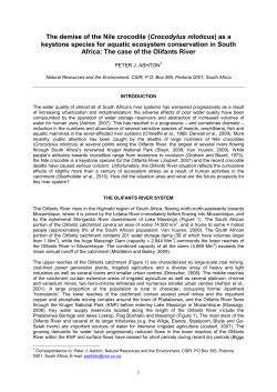 as a PDF