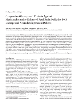 Oxoguanine Glycosylase 1 Protects Against Methamphetamine