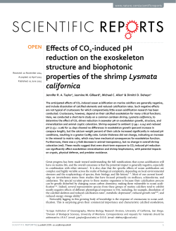Effects of CO2-induced pH reduction on the exoskeleton structure