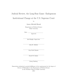 Judicial Review, the Long-Run Game: Endogenous