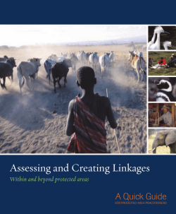 Assessing and Creating Linkages