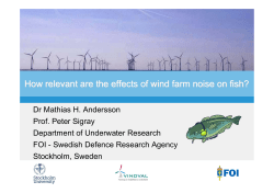 How relevant are the effects of wind farm noise on fish?