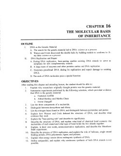 chapte,r 16 - Scranton Prep Biology