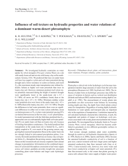 Influence of soil texture on hydraulic properties and water relations