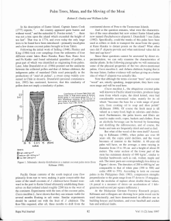 Palm trees, mana, and the moving of the moai