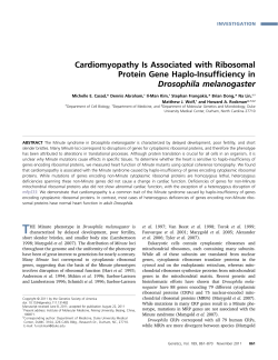 Cardiomyopathy Is Associated with Ribosomal Protein