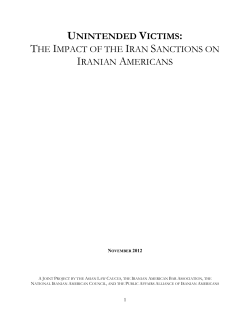 unintended victims: the impact of the iran sanctions on iranian