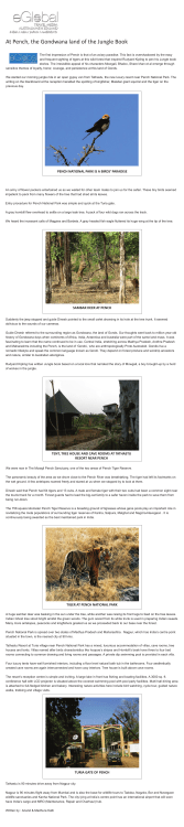 At Pench, the Gondwana land of the Jungle Book