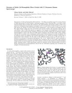 Structure of Sickle Cell Hemoglobin Fibers Probed with UV