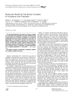 Molecular Model for the Binary Complex of Uropepsin and